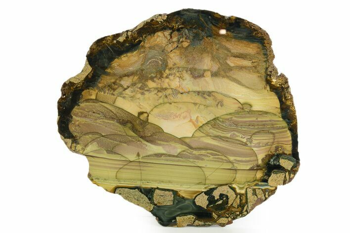 Exceptional, Polished Slab of Blue Mountain Jasper - Oregon #308156